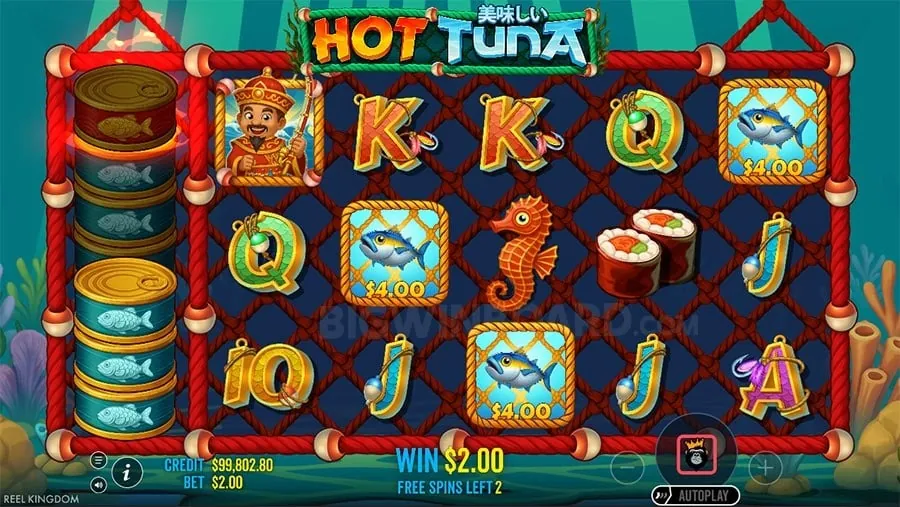 juan365 com app Understanding Roulette Odds